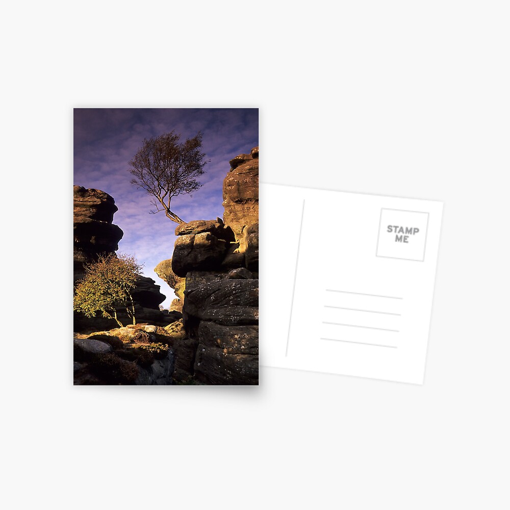 Item preview, Postcard designed and sold by sjbowen.
