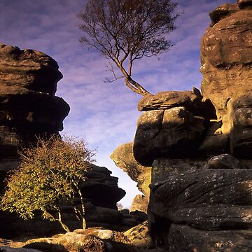 Artwork thumbnail, Brimham Rocks by Simon Bowen