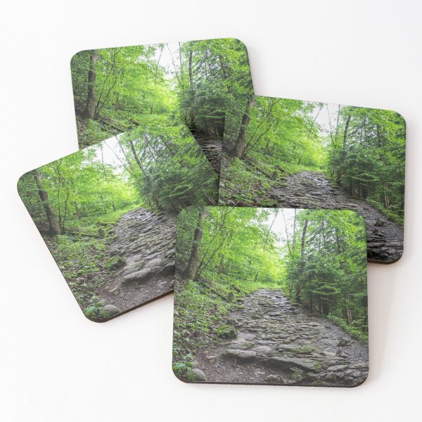 Item preview, Forest path in Swiss Alps designed and sold by AlizadaStudios.