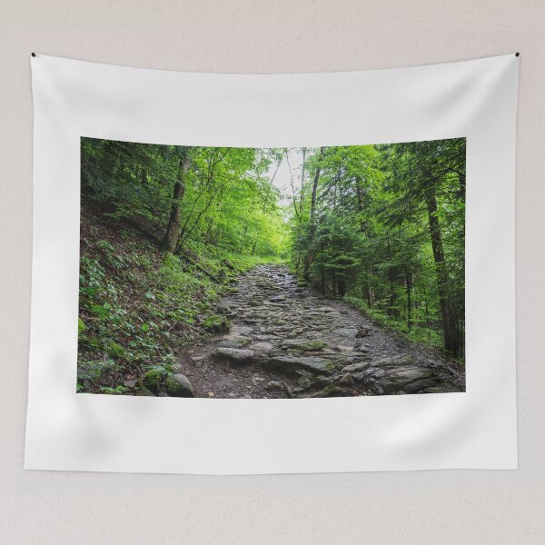 Item preview, Forest path in Swiss Alps designed and sold by AlizadaStudios.