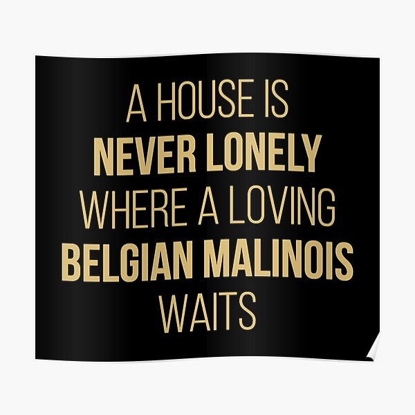Belgian Malinois Dog Cute Quote Poster