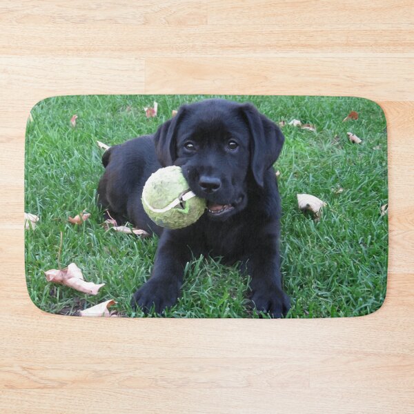 Item preview, Black Labrador Puppy - Play Ball designed and sold by BlackDogArtJudy.