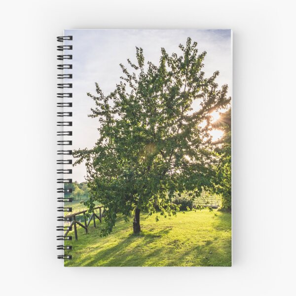 Item preview, Abandoned farm in the countryside of Italy designed and sold by zakaz86.