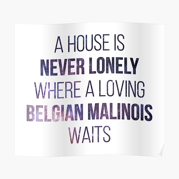 Belgian Malinois Dog Cute Quote Poster