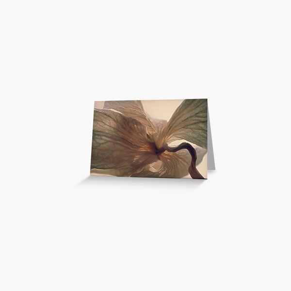 Expired Blossom Greeting Card