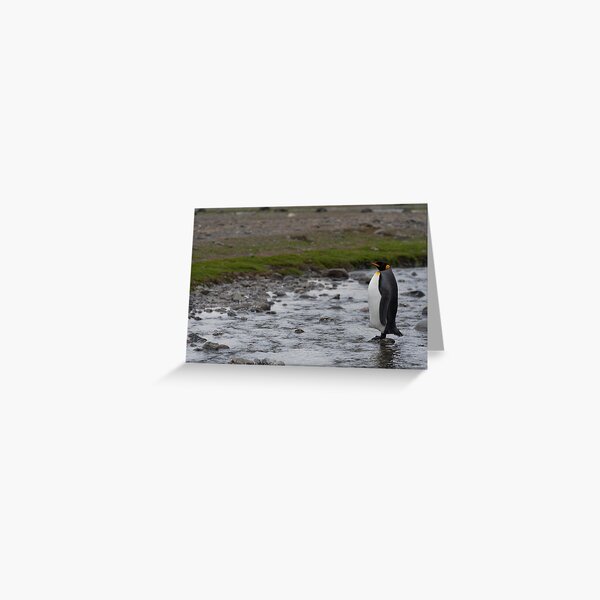 The Guardian Greeting Card