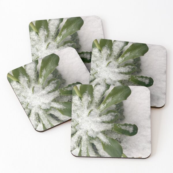 Item preview, Enshrouded plant designed and sold by lucielitchi.
