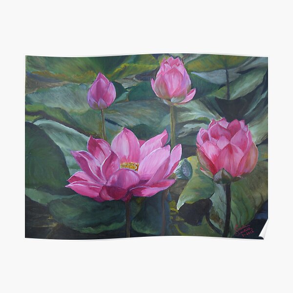 Lotus Pond Poster