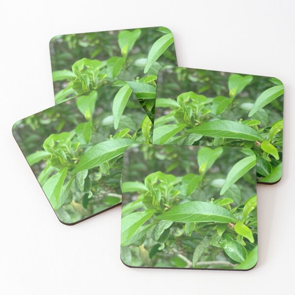 Item preview, Leaves on Tree designed and sold by Wichawin.