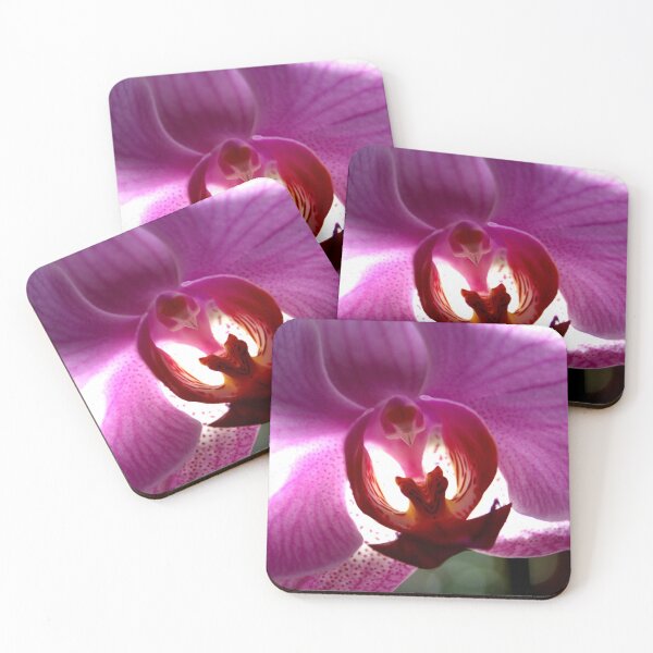 Item preview, Colorful Orchid designed and sold by Lee's Place.