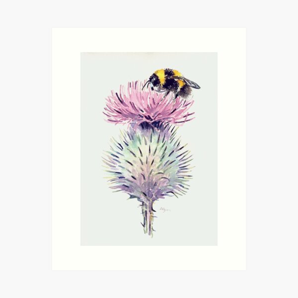 Watercolor Bee Art Prints for Sale