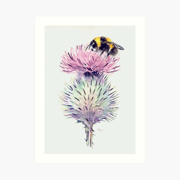 Bumblebee on a Thistle Art Print