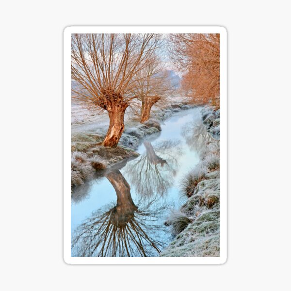 Winter trees reflected in the river Sticker