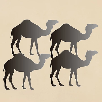Artwork thumbnail, Camels by Raju2018