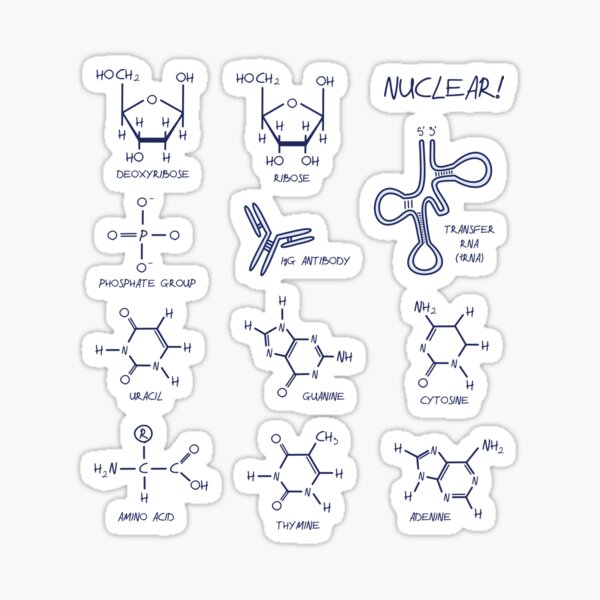 Nucleic Acid and Protein Structures Sticker