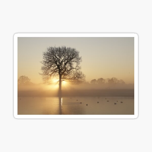 Sunrise on the pond! Sticker