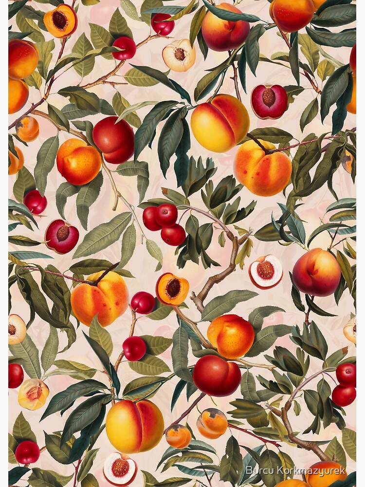 Vintage Fruit Pattern XXIII