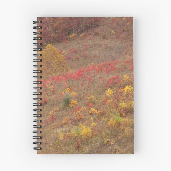 Item preview, Hillside Colors in Elliott County, Ky designed and sold by Kent Nickell.
