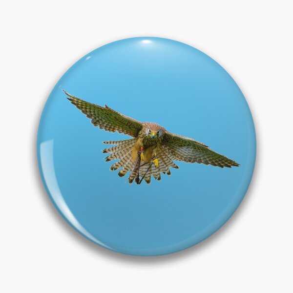 Item preview, Wind hover designed and sold by Dalyndigital Photography.