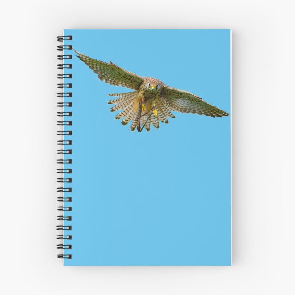 Item preview, Wind hover designed and sold by Dalyndigital Photography.