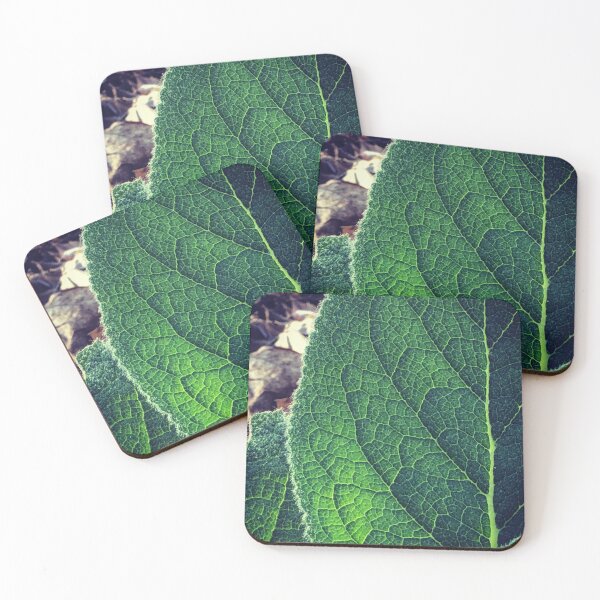 Item preview, Fingerprints. Mullein In The Sunshine  designed and sold by Paula Betz.