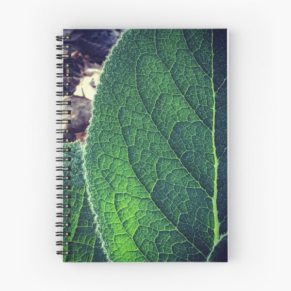 Item preview, Fingerprints. Mullein In The Sunshine  designed and sold by Paula Betz.
