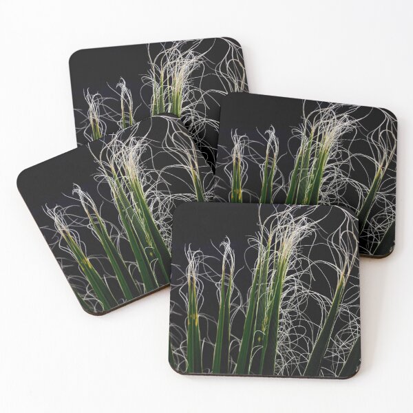 Item preview, Palm Frond Close Up Photographic Abstract designed and sold by taiche.