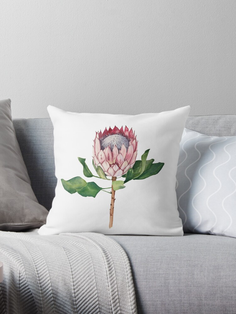 Protea pillows discount