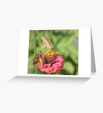 Skipper Dance! Greeting Card