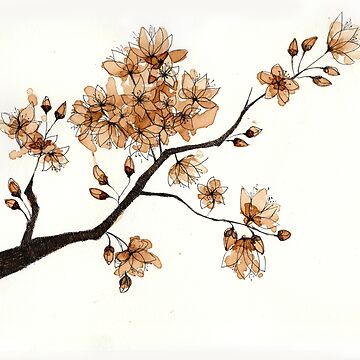 sakura coffee painting