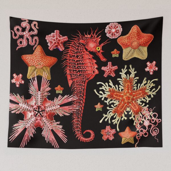 Item preview, RED SEAHORSE AND SEASTARS IN BLACK Sea Life designed and sold by BulganLumini.