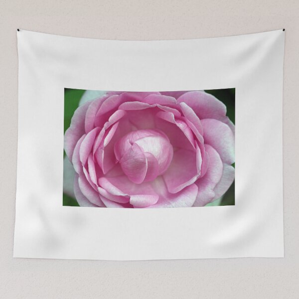 Item preview, Sweetness designed and sold by Patman61.