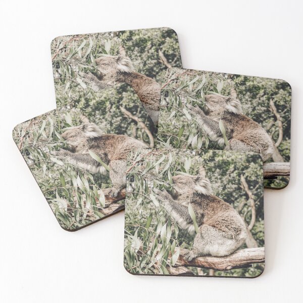 Item preview, Koala designed and sold by Natalie Royal.
