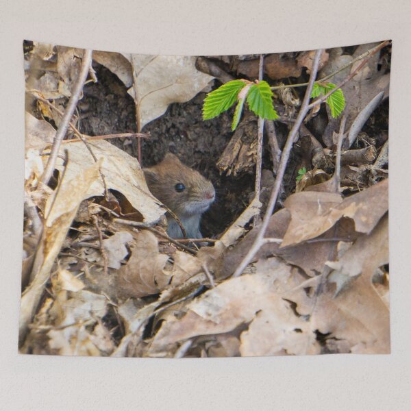 Item preview, The mouse in the house designed and sold by MarionsArt.