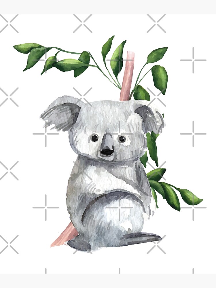 Koala watercolor painting art print