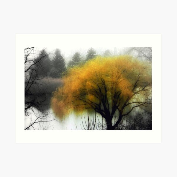 Foggy Morning © Art Print