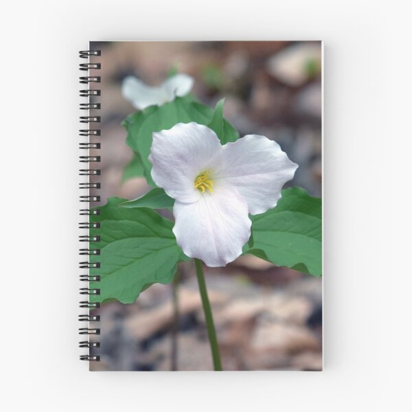 Item preview, Trillium designed and sold by GerryBuckel.