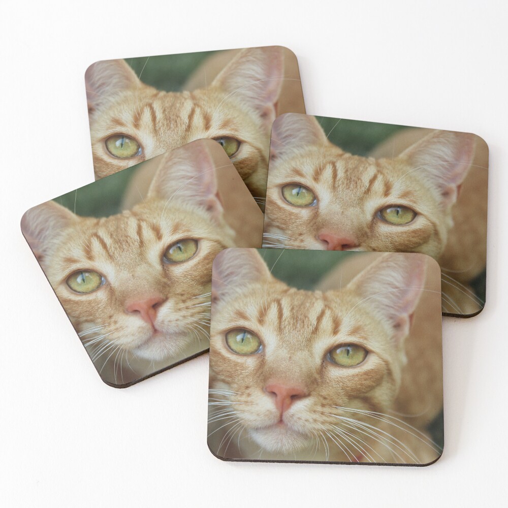 Item preview, Coasters (Set of 4) designed and sold by RideDesigns.