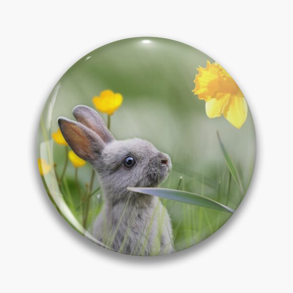 Item preview, Little Bunny designed and sold by MoragBates.