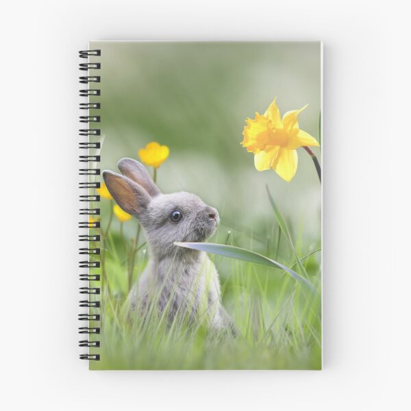 Item preview, Little Bunny designed and sold by MoragBates.
