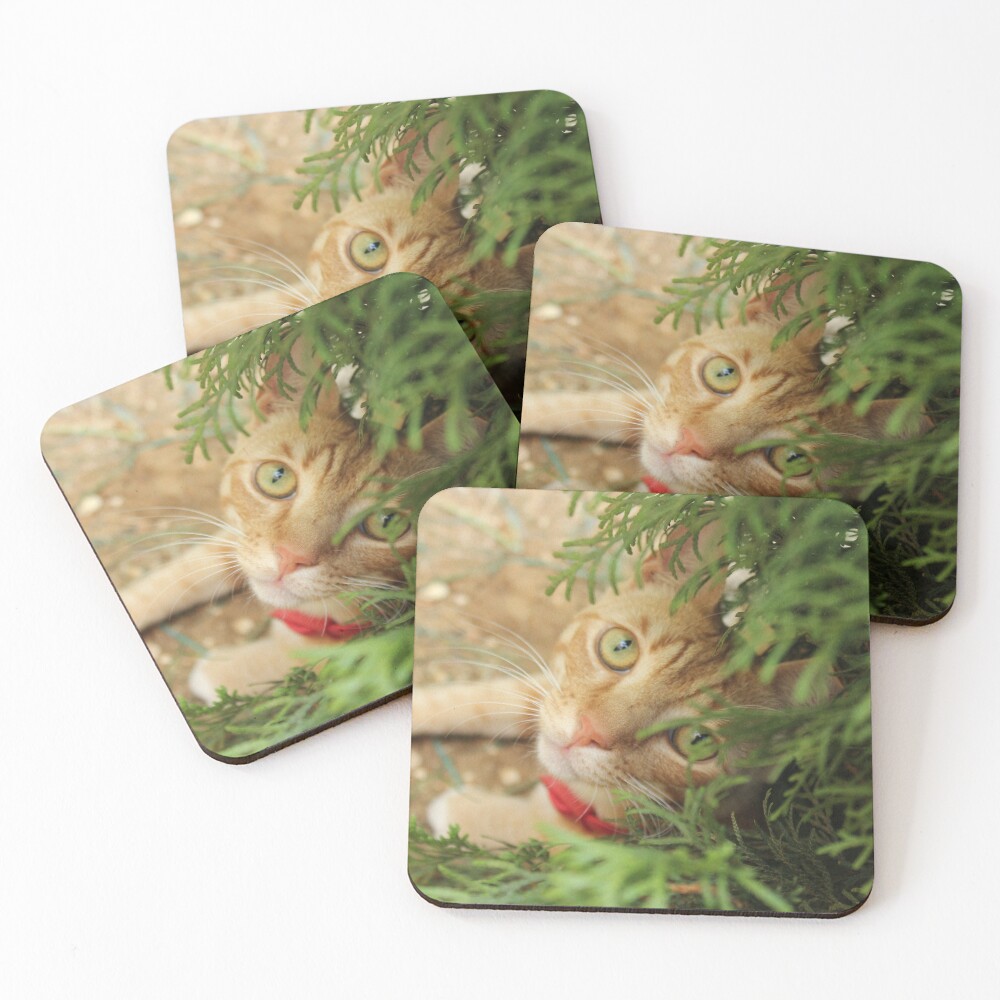 Item preview, Coasters (Set of 4) designed and sold by RideDesigns.