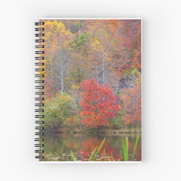 Item preview, Fabulous October #2 designed and sold by Nicole  McKinney.