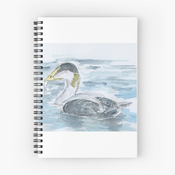 Item preview, Eider duck watercolour. designed and sold by DebTheZeb.