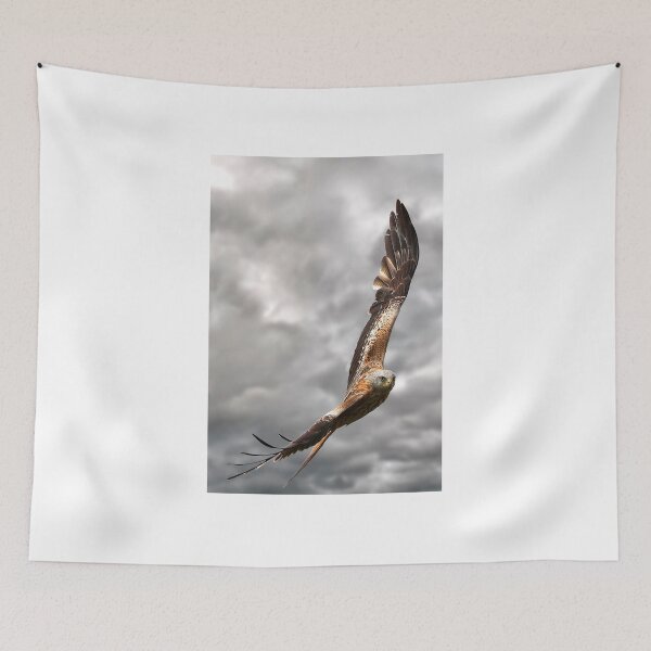 Item preview, Red Kite in flight over Northern Cumbria designed and sold by Martin Lawrence.