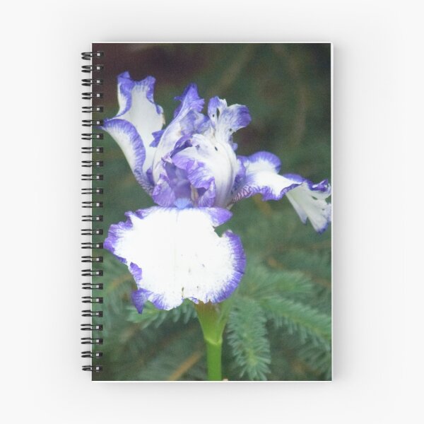 Item preview, Iris tint designed and sold by GerryBuckel.