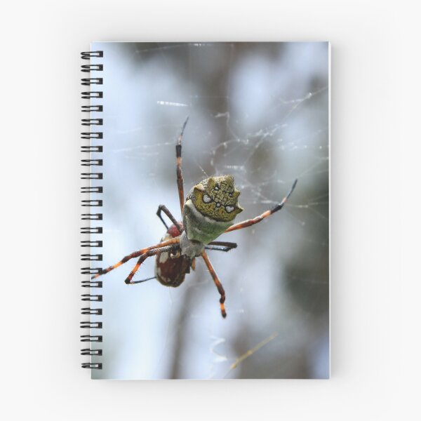 Item preview, Orb Weaver Spider Wrapping Prey designed and sold by rhamm.