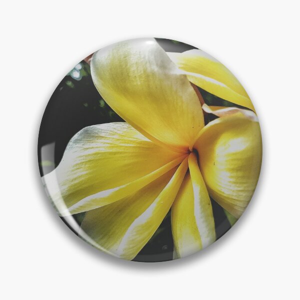 Item preview, Delicate Holds True designed and sold by kinkatstyle.