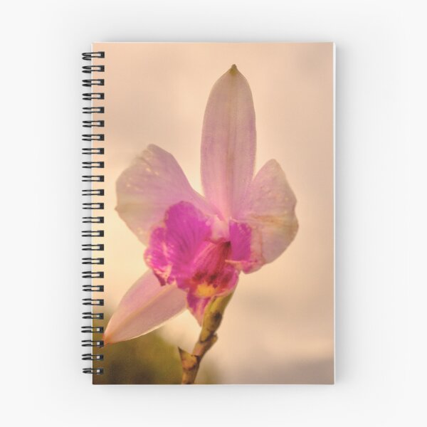 Item preview, cli wild designed and sold by pcfyi.