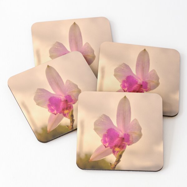 Item preview, cli wild designed and sold by pcfyi.
