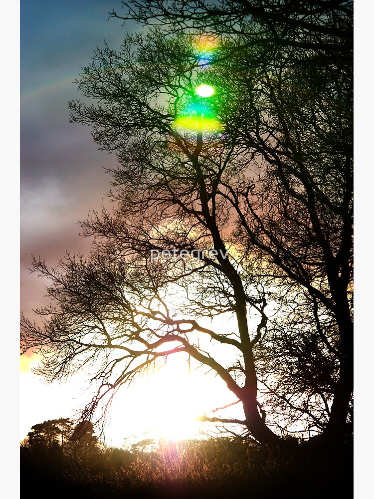 Day 195 - 21st January 2012 by petegrev
